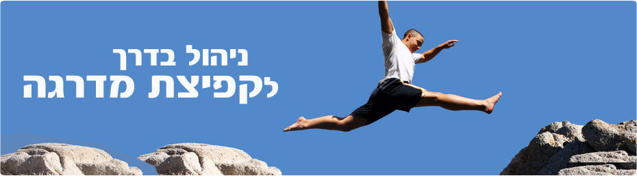 מערכות-מורכבות