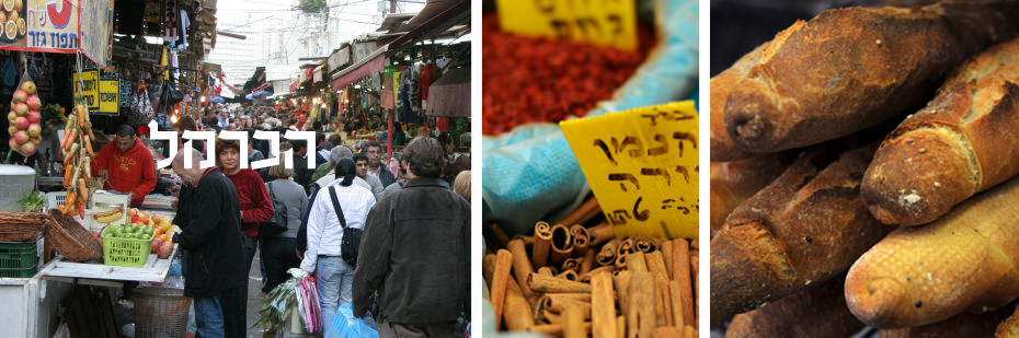 מידע-שימושי-שוק-הכרמל