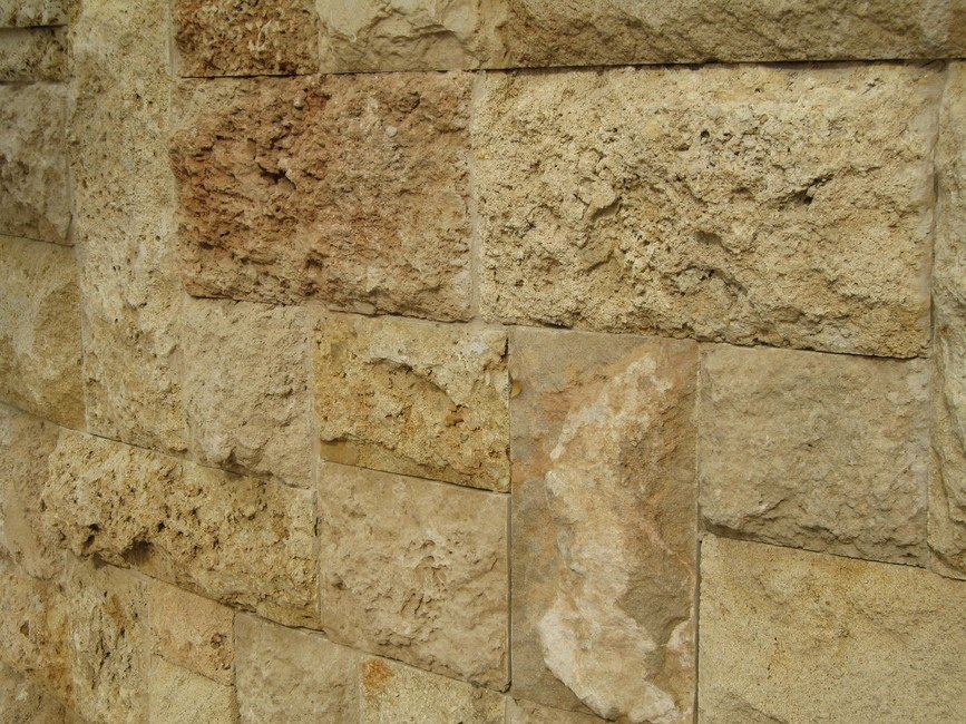 כורכר ישראלי טובזה כורכר ישראלי טובזה