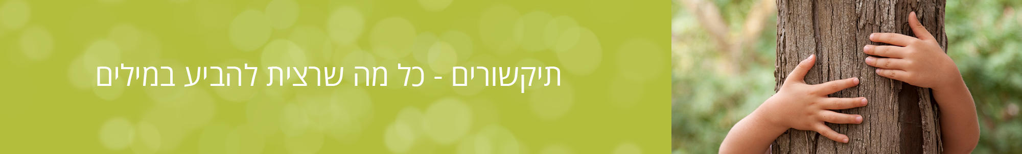 אודות