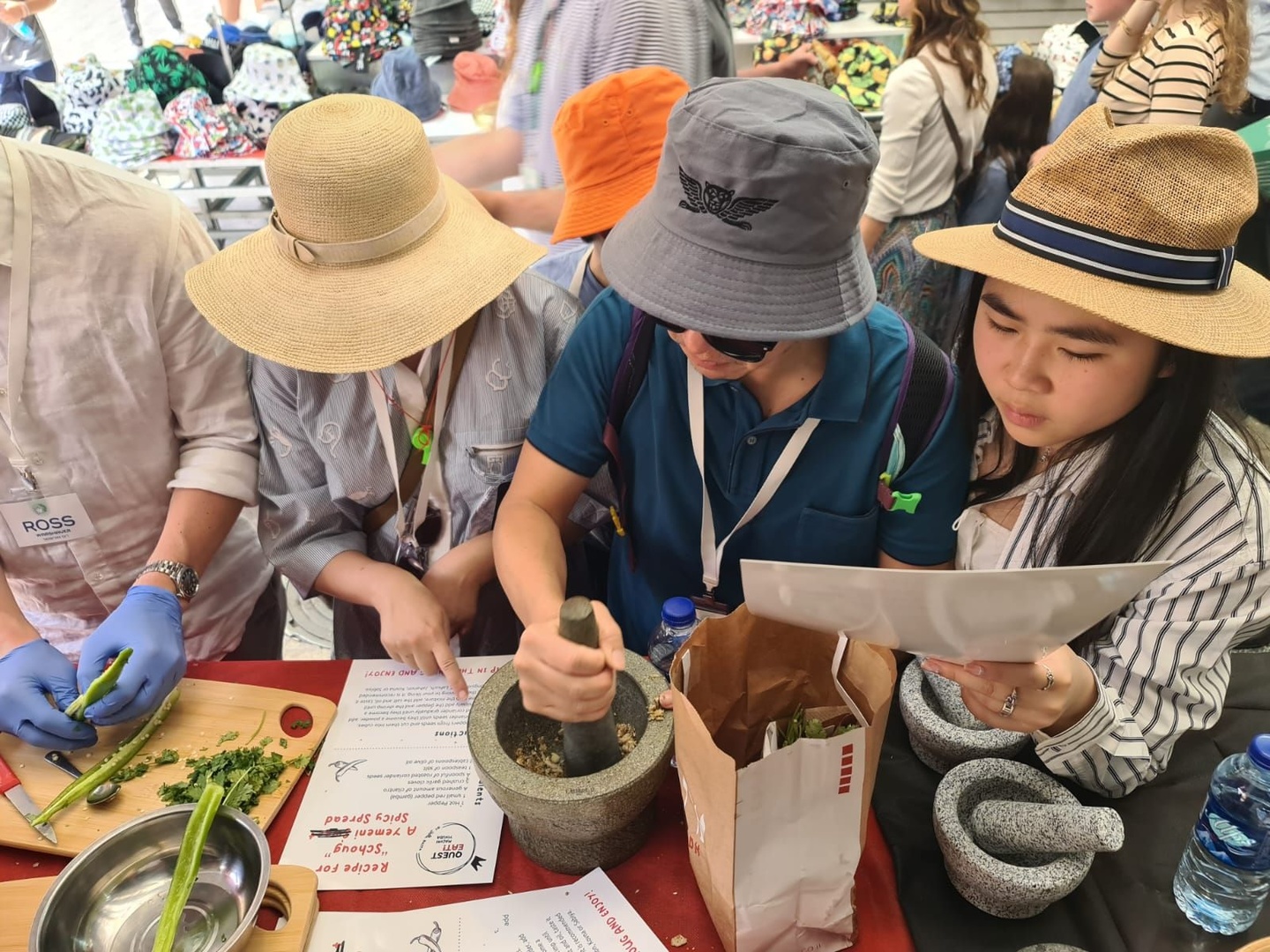 פעילות ניווט בשוק פעילות ניווט בשוק