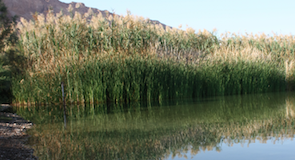 Tours in the Dead Sea area