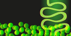 השלכות החיידקים הטובים על בריאותנו השלכות החיידקים הטובים על בריאותנו