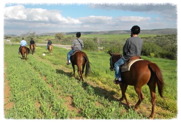 טיול סוסים במסגרת יום כיף לחברה טיול סוסים במסגרת יום כיף לחברה