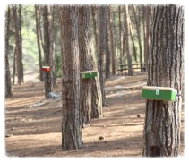 יום גיבוש ומשחק בריחה בטבע לחברת ורינט 26.11.17 יום גיבוש ומשחק בריחה בטבע לחברת ורינט 26.11.17