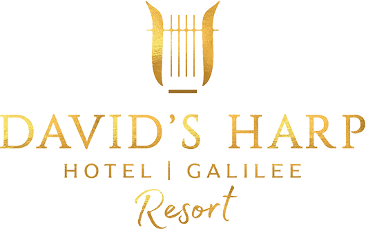 מלון נבל דוד "גליל ריזורט" החדש בצפון הכנרת