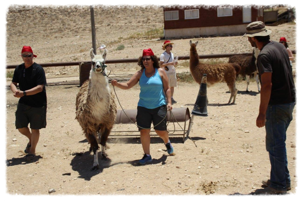 יום גיבוש מדברי לחברת פוטורג‘ין 7.7.16 יום גיבוש מדברי לחברת פוטורג‘ין 7.7.16