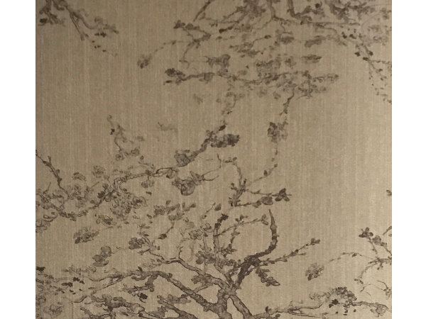 C02 204 - טפט לקיר 