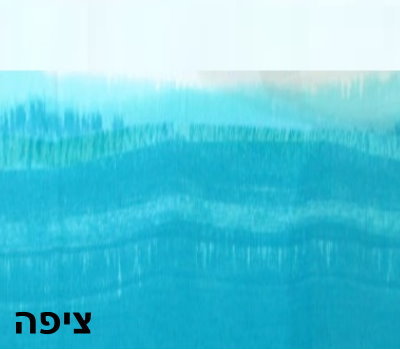 ציפה - דגם סו סי תכלת טורקיז