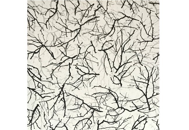 C00 205 - טפט לקיר 