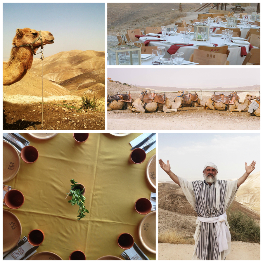 ארץ בראשית - Genesis Land ארץ בראשית - Genesis Land