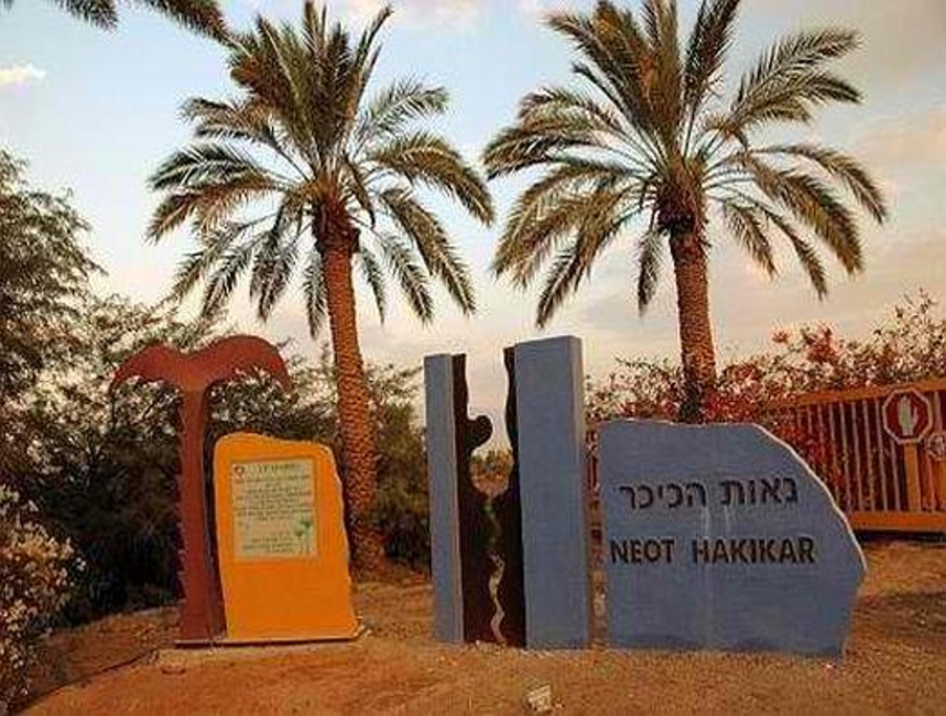 הבית של קורין