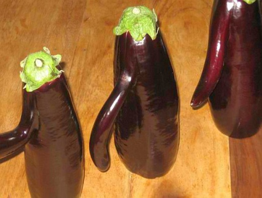 הבית של קורין