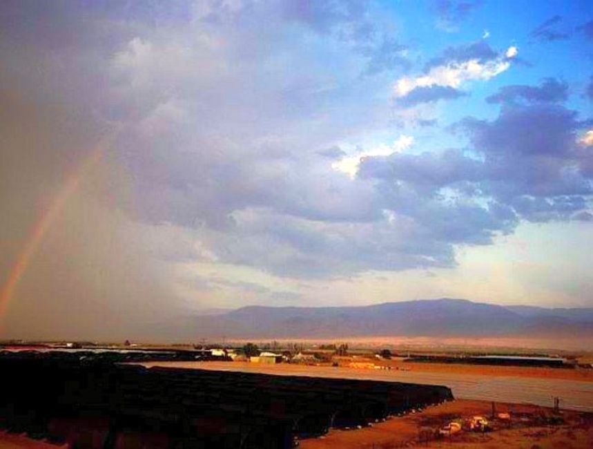 הבית של קורין