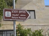 מוזיאון הטבע בירושלים MORE