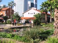 סיור מודרך בשרונה תל אביב