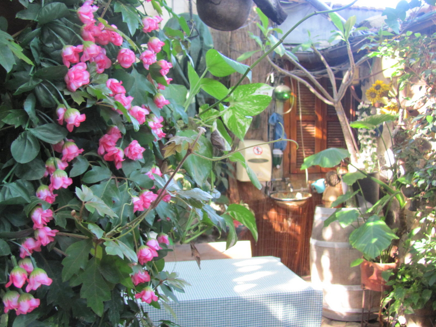 סיפורי האהבה של זכרון יעקב  MORE