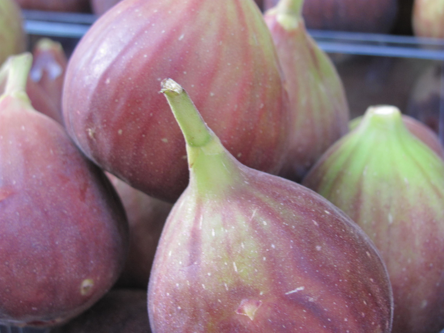 שוק הנמל תל אביב