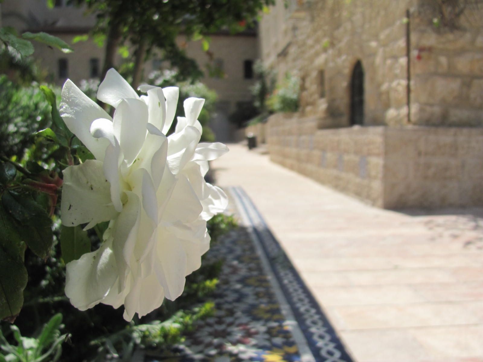 סיורי שכונות בירושלים MORE סיורי שכונות בירושלים MORE