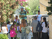 סיורים וטיולים בירושלים - כללי