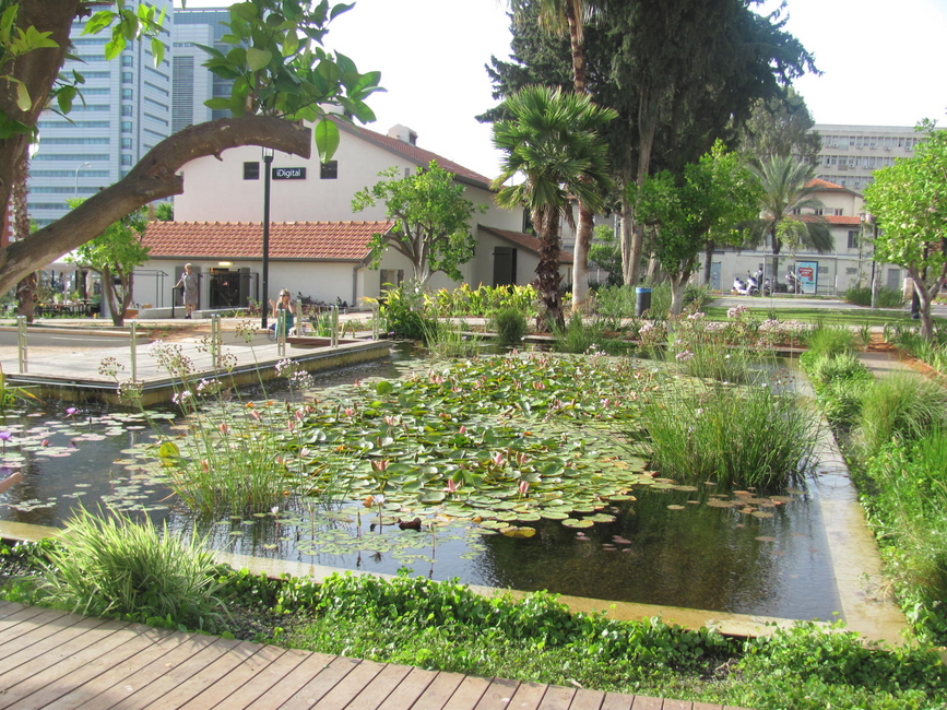 סיור בשרונה תל אביב