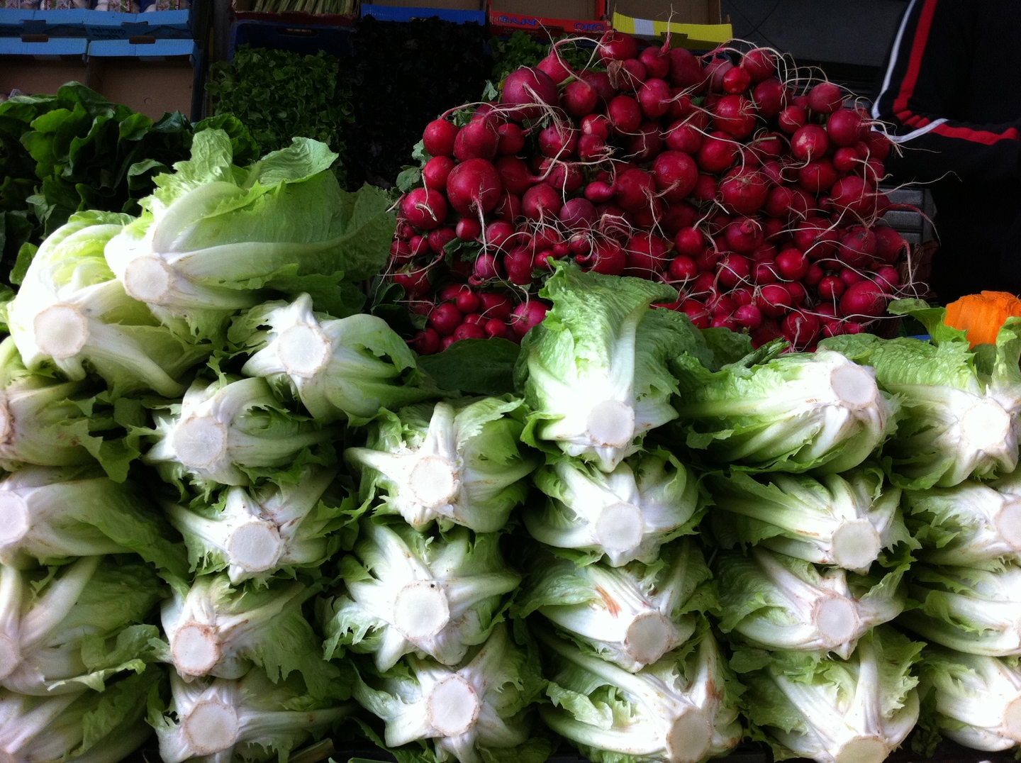 סיור טעימות בשוק הכרמל תל אביב MORE