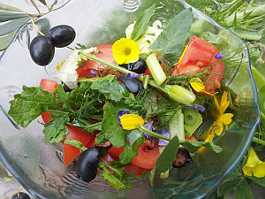 סיורים קולינריים בהרי ירושלים ושפלת יהודה