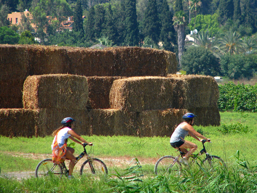 אטרקציות ופעילויות בזכרון יעקב והסביבה צילום אופניים בנימינה