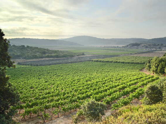 סיורים באיזור ירושלים