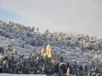 סיור בעין כרם MORE