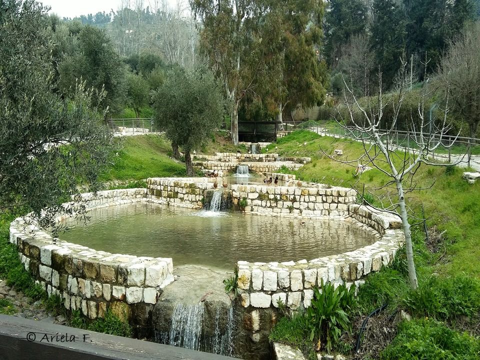 פארקים אתרים ומקומות לטיול צפת והסביבה MORE צילום אריאלה פרקש באדיבות עריית צפת