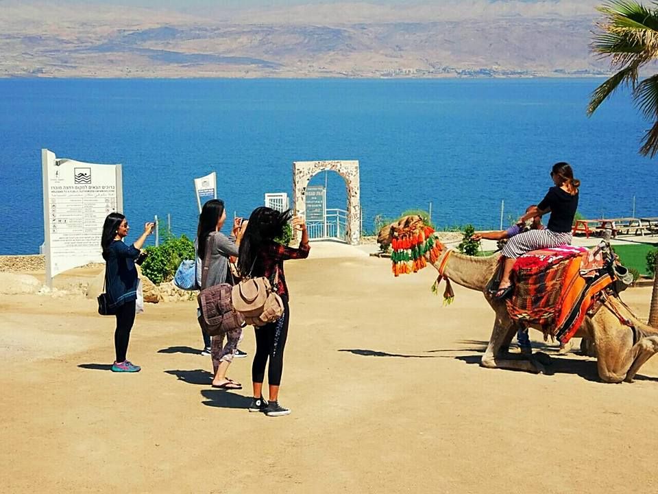 סיורים בים המלח מצדה ומדבר יהודה צילום רון פלד MORE סיורים בים המלח מצדה ומדבר יהודה צילום רון פלד MORE