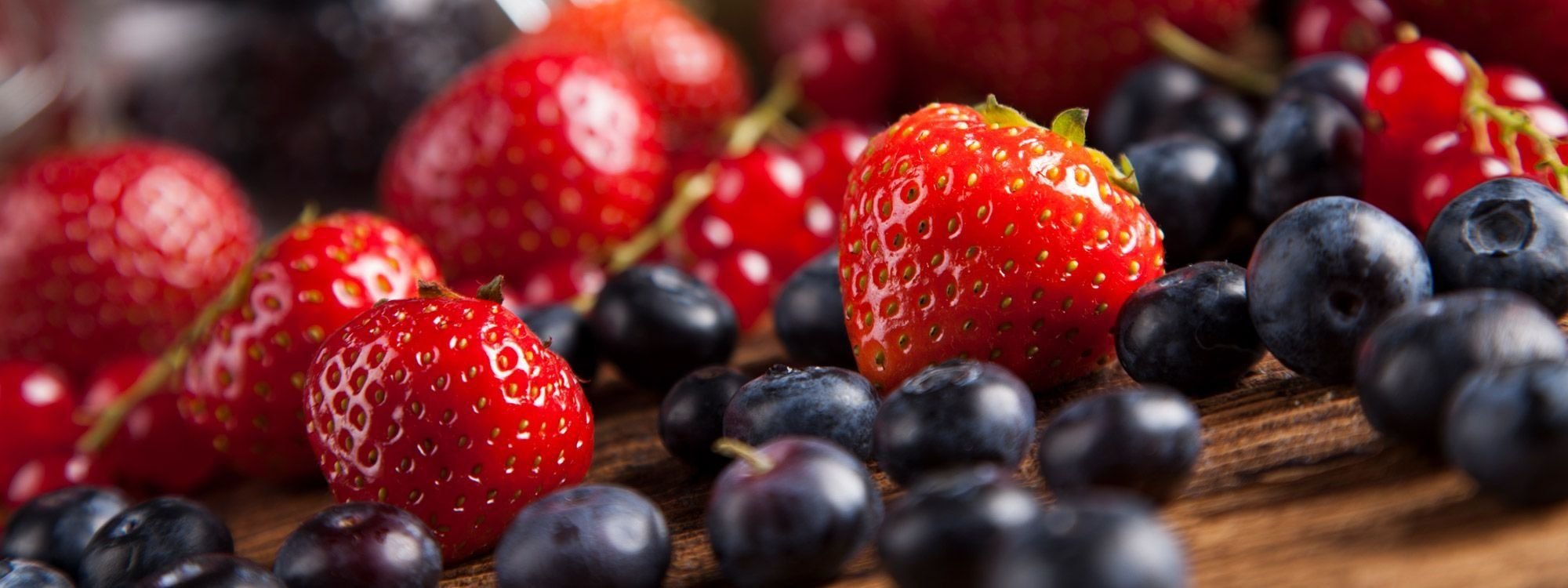 הצהרת-נגישות