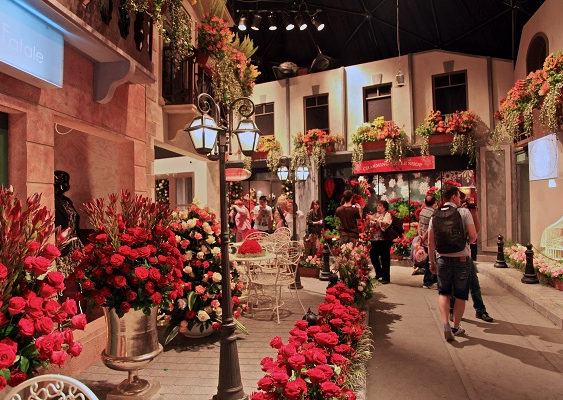 אתרים ליד השוק אתרים ליד השוק