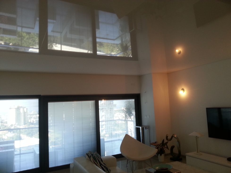 נורית עמית - תקרה מתוחה