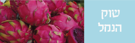 אתר שוק הנמל