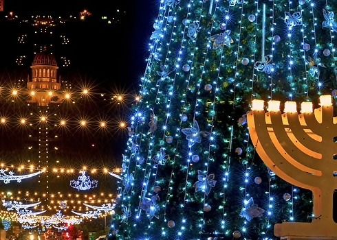 צילום: צביקה רוגר צילום: צביקה רוגר