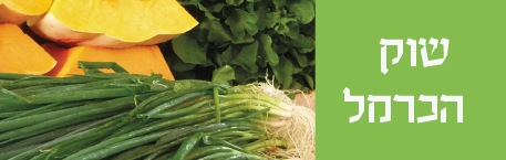 אתר שוק הכרמל אתר שוק הכרמל