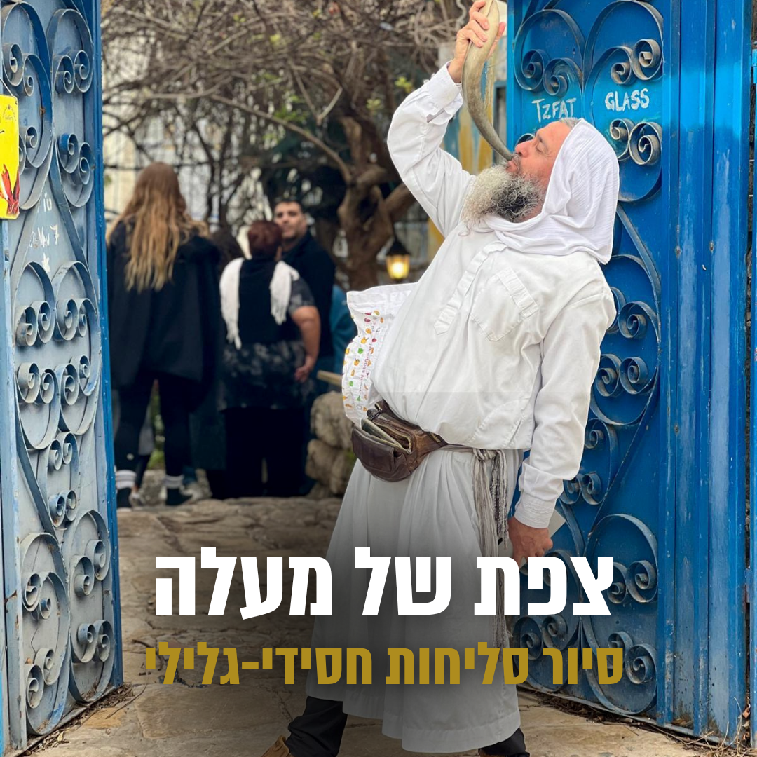 צפת של מעלה - סיור סליחות חסידי